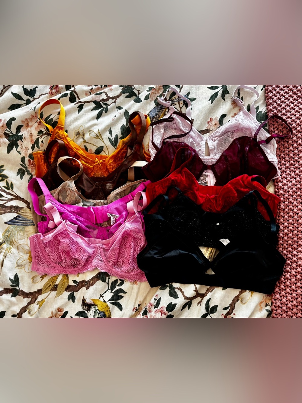 38C Bra Set - 10 bras, all 38C, all in great shape!